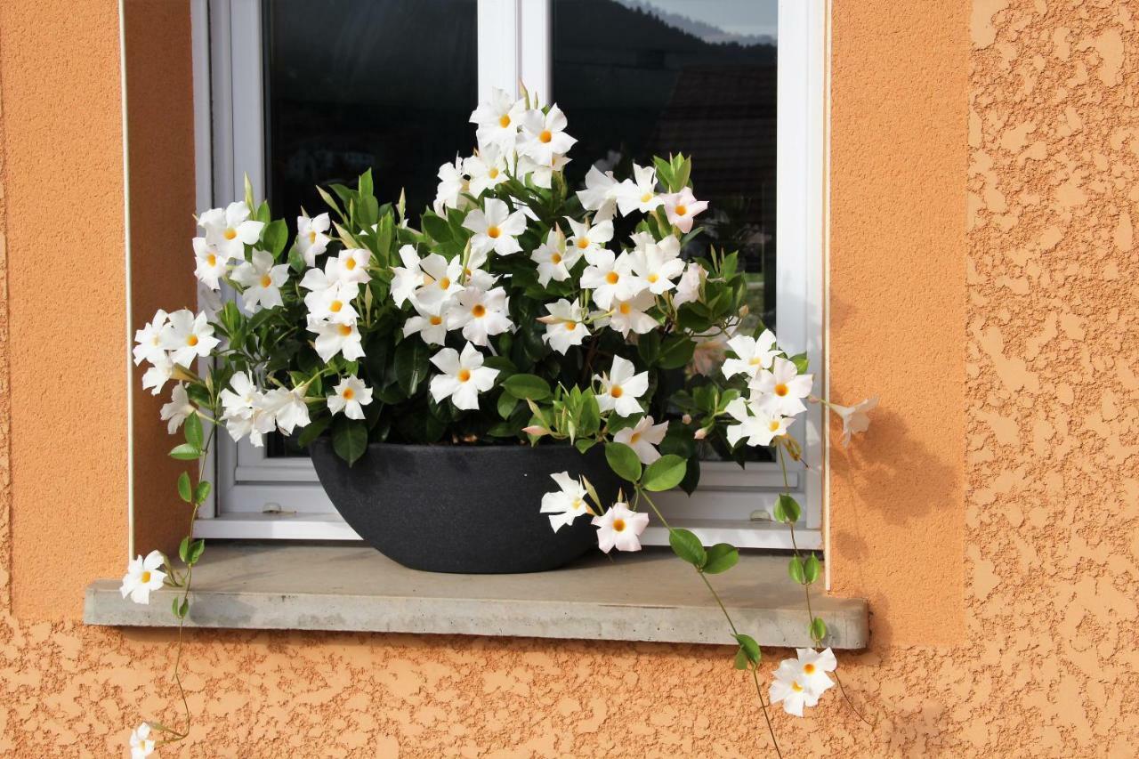 Gite Les Cimes La Bresse Exterior photo